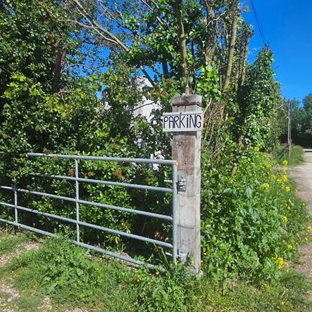 Studio En Camargue Αρλ Εξωτερικό φωτογραφία